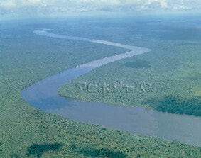 南米アマゾン川流域