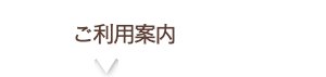 ガイド